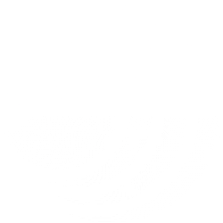 Brenmiller Energy Ltd Ordinary Shares Share Price